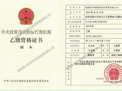 中央投资项目招标代理机构